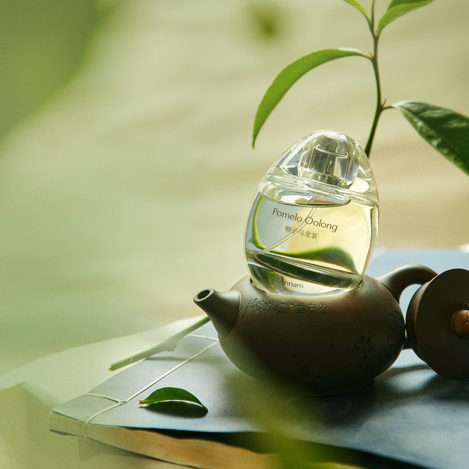 Pomelo Oolong Eau de Parfum 50ml