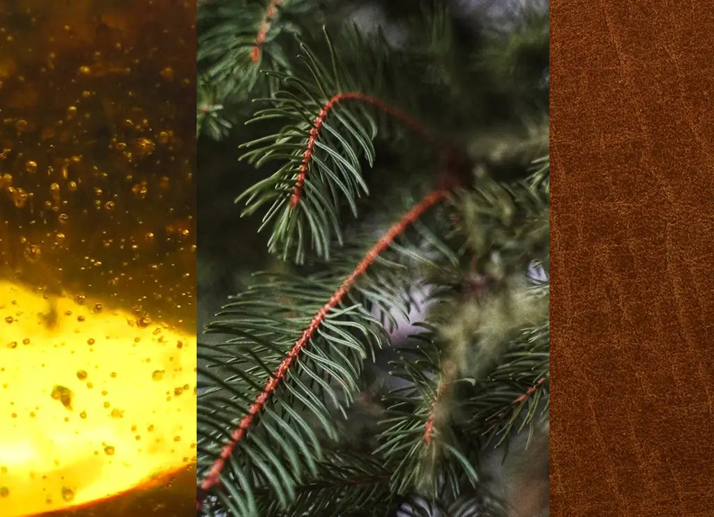 ELATOPHOROS Scented Candle 240gr (2025 Edition)